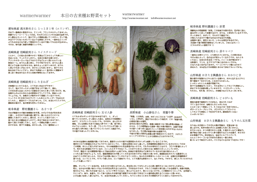 5月1日　本日のお野菜セットの内容です。