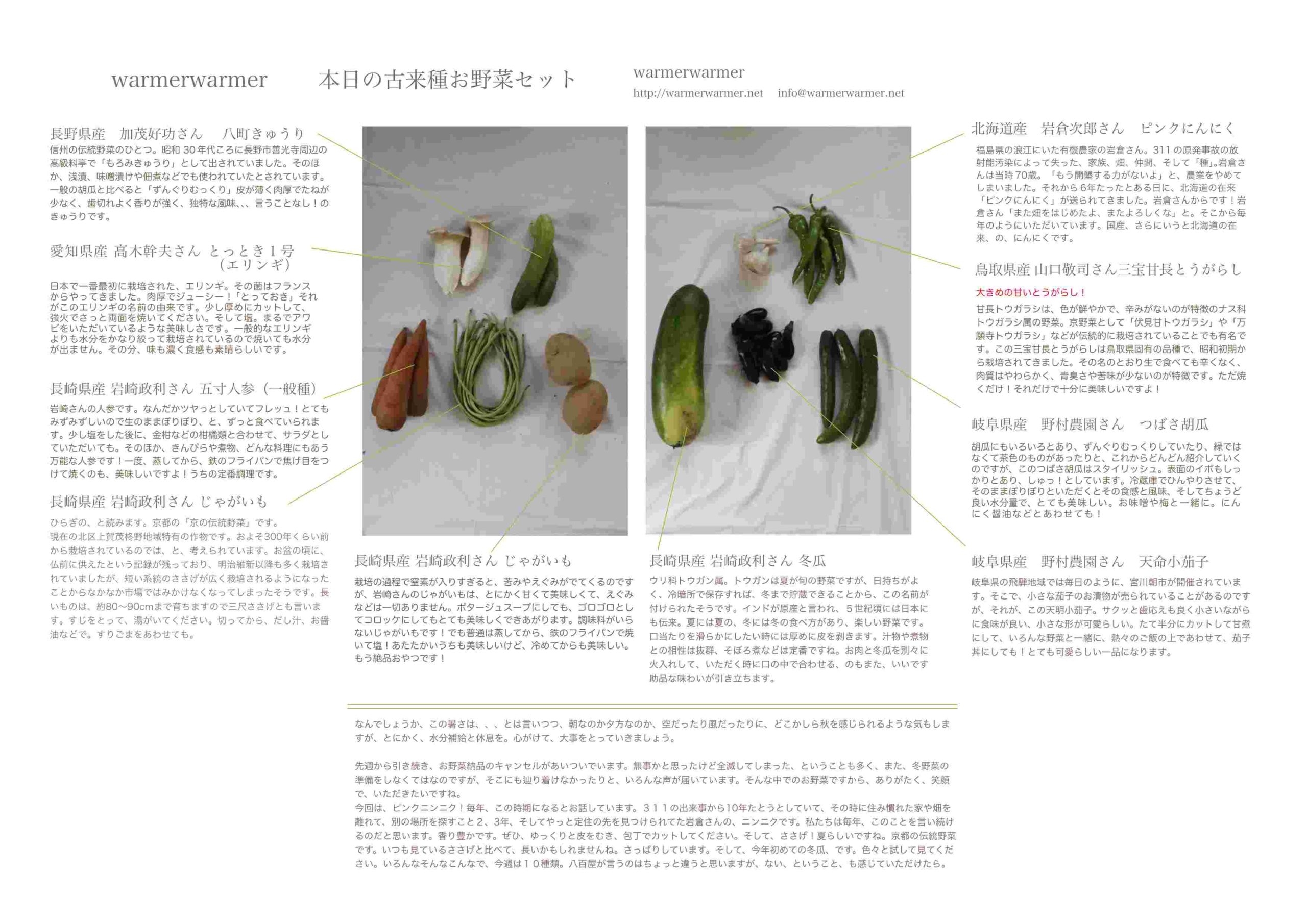 8月27日　本日のお野菜セットの内容です。