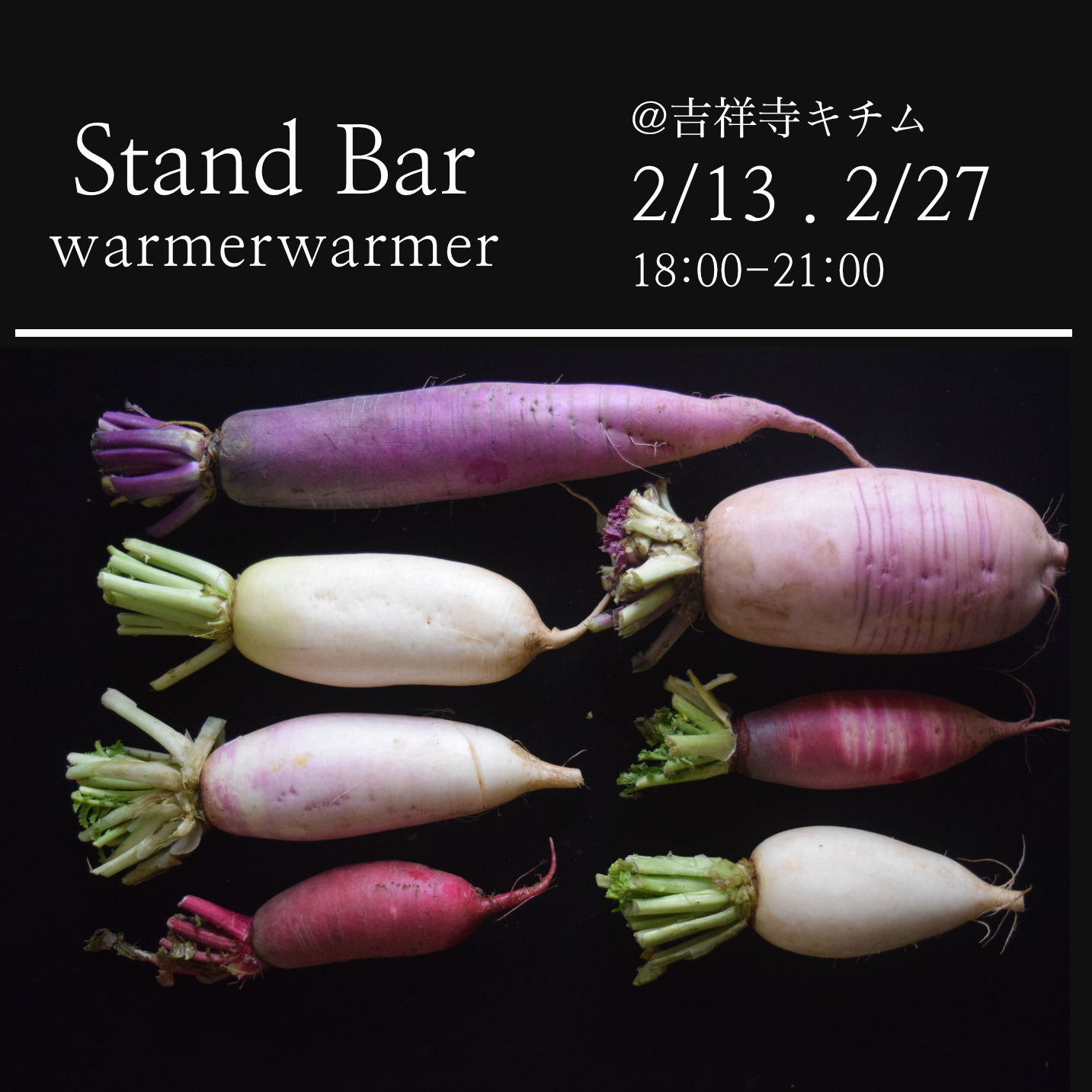 2/13,27 Stand Bar