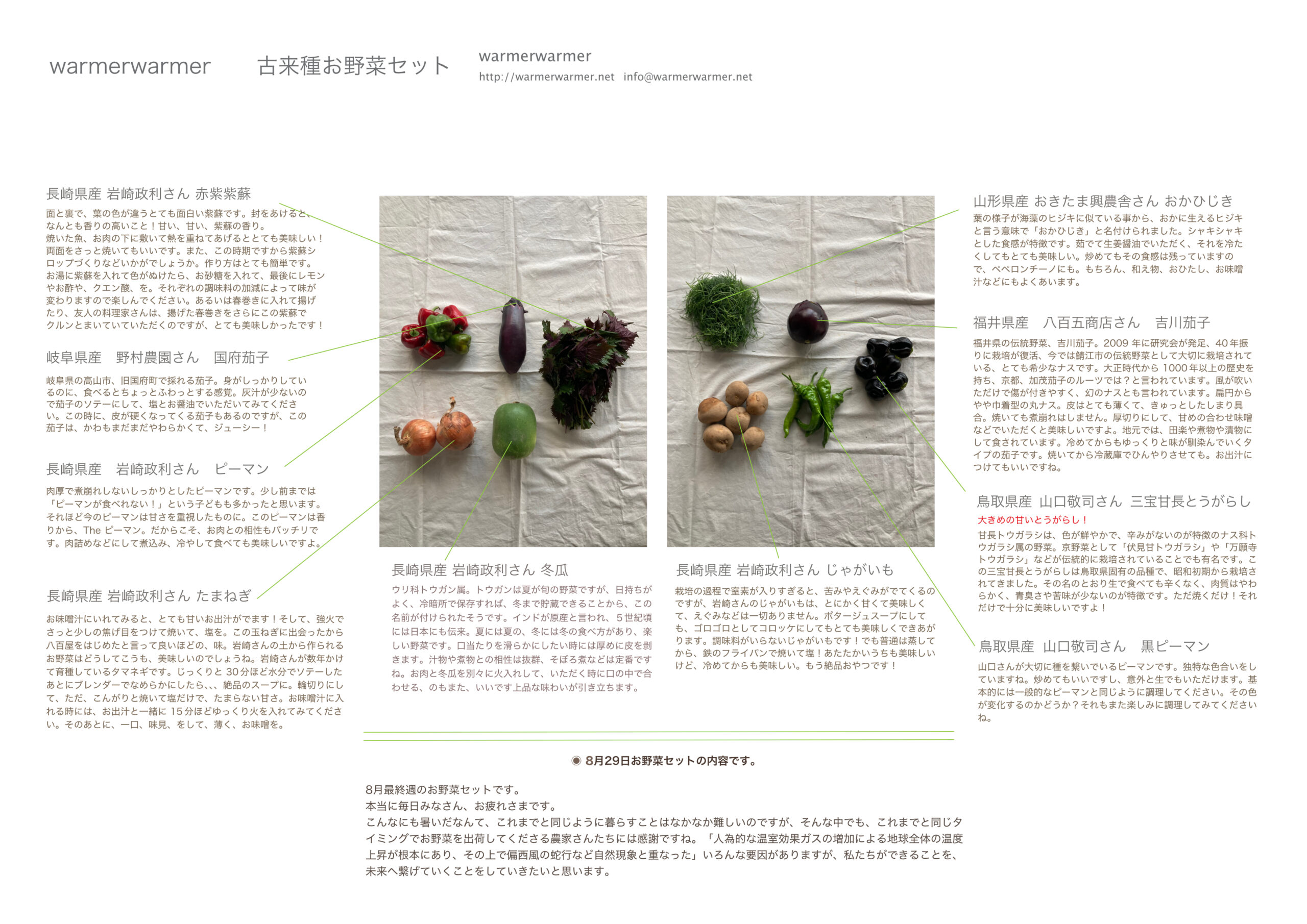 8月29日　お野菜セットの内容です