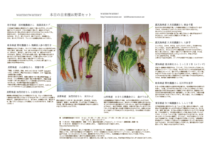 11月８日　本日のお野菜セットの内容です。