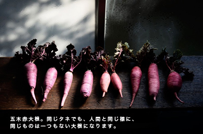 4月21日　【トークイベント】「古来種野菜を知っていますか」＠メディアセブン 埼玉県川口