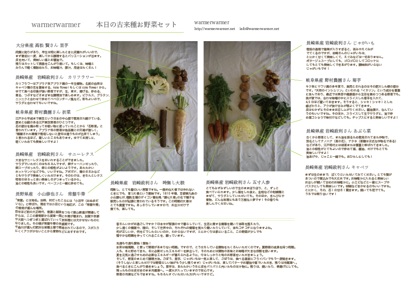 4月10日　本日のお野菜セットの内容です。