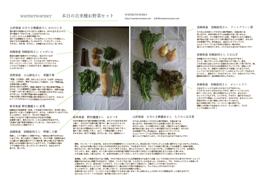 4月24日　本日のお野菜セットの内容です。