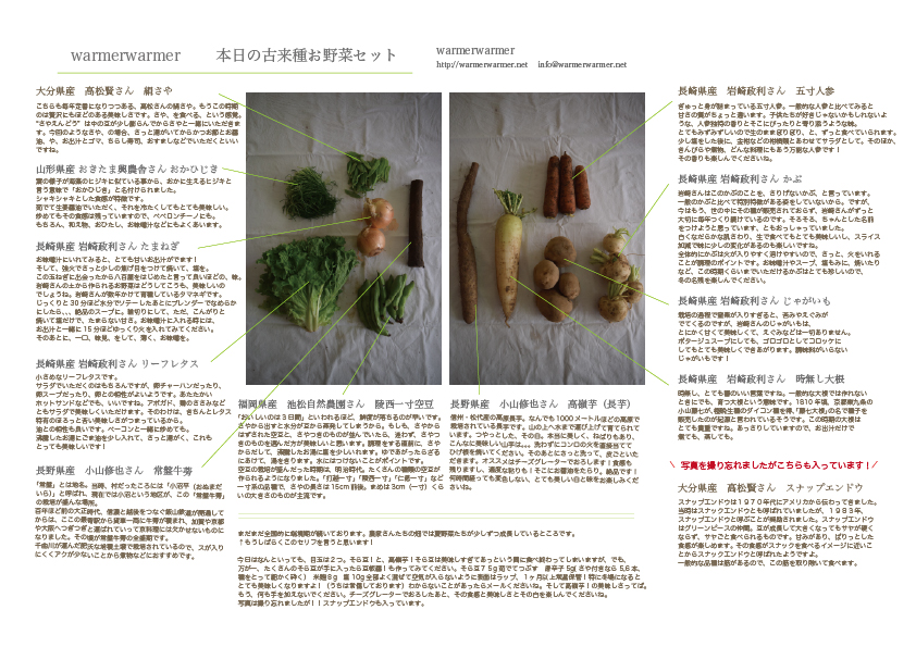 5月15日　本日のお野菜セットの内容です