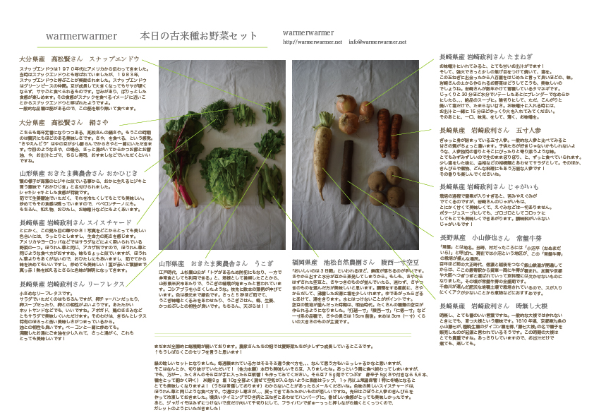 5月22日　本日のお野菜セットの内容です。