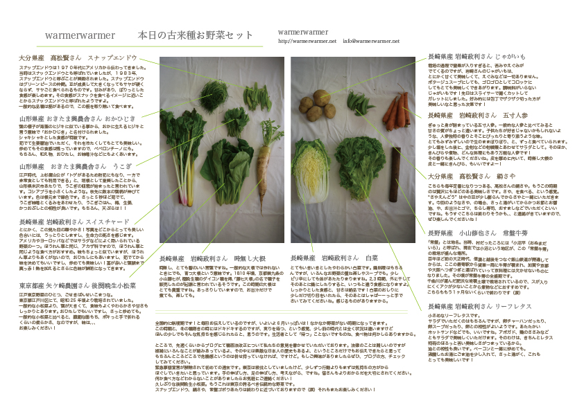 5月29日　本日のお野菜セットの内容です