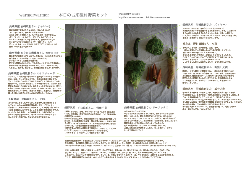 ６月５日　本日のお野菜セットの内容です