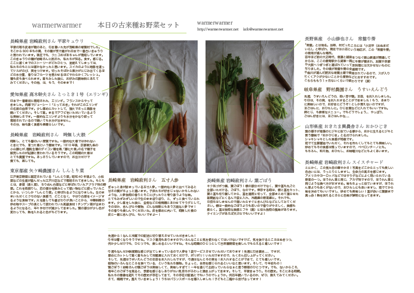 6月12日　本日のお野菜セットの内容です。