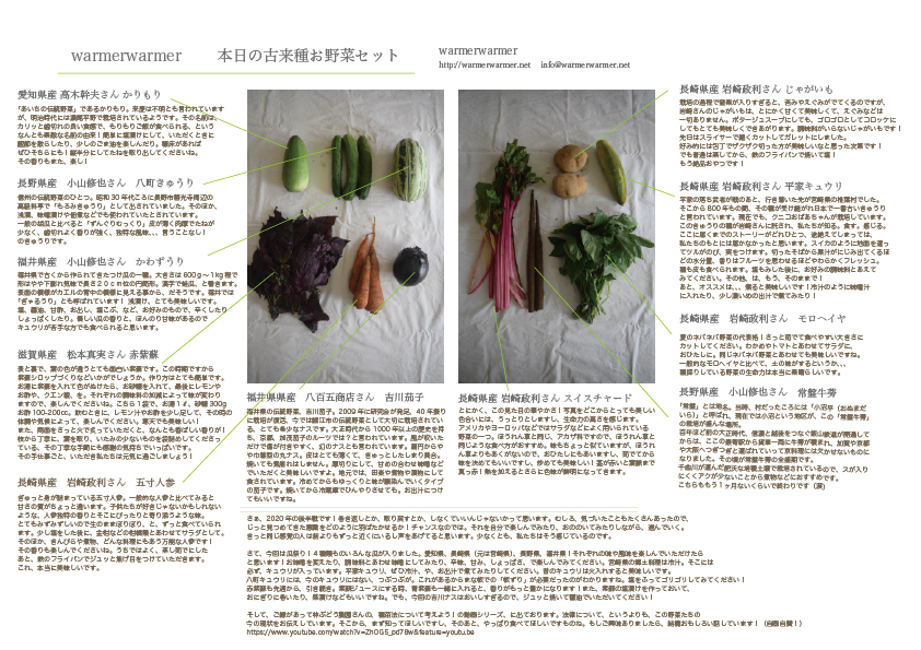 7月3日　本日のお野菜セットの内容です。
