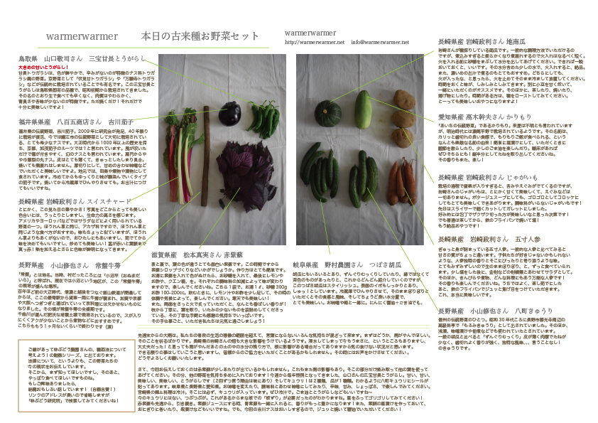 7月10日　本日のお野菜セットの内容です。