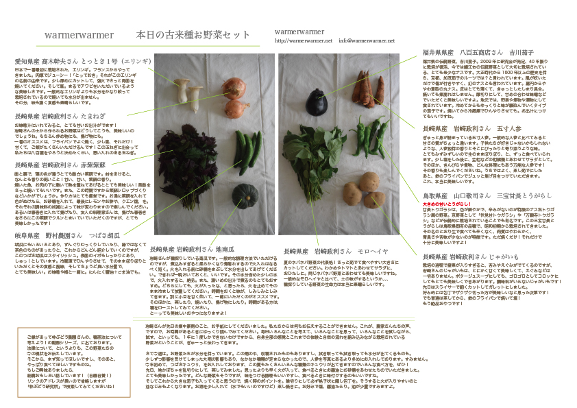 7月17日　本日のお野菜セットの内容です。