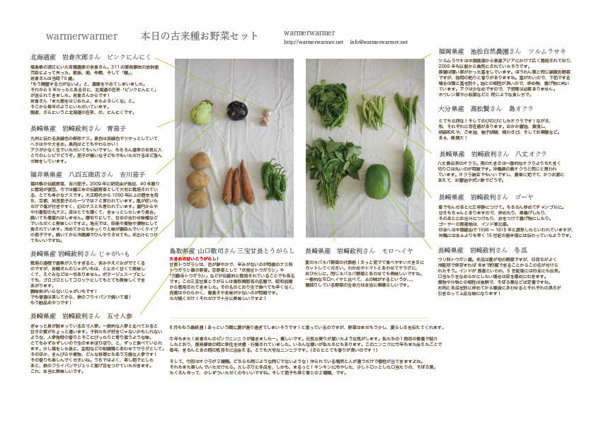 8月28日　本日のお野菜セットの内容です。