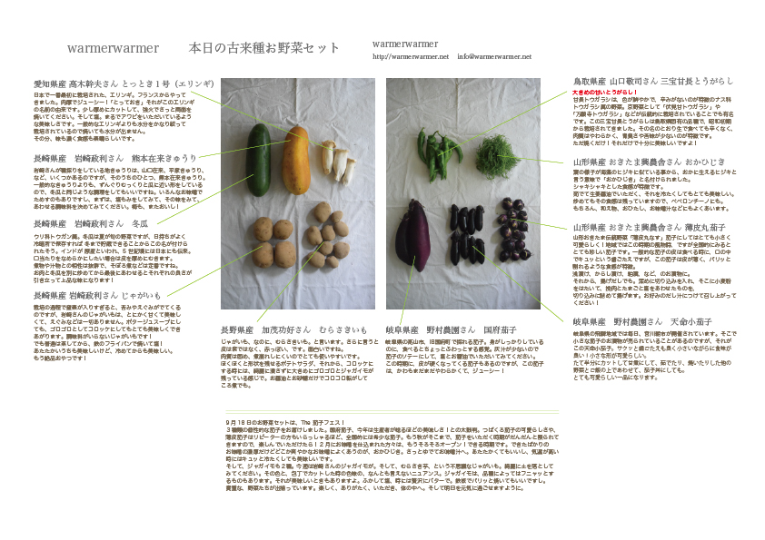 9月18日　本日のお野菜セットの内容です。