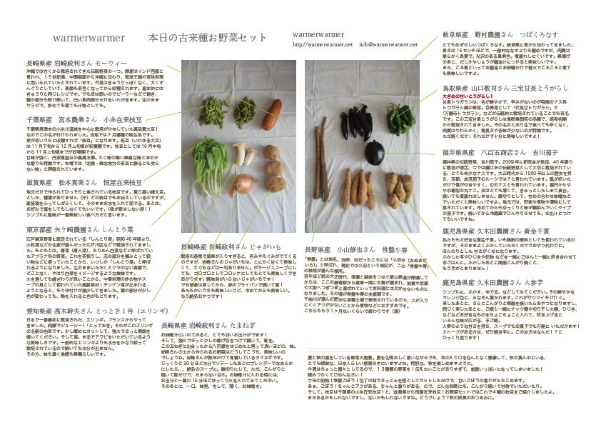10月16日　本日のお野菜セットの内容です。