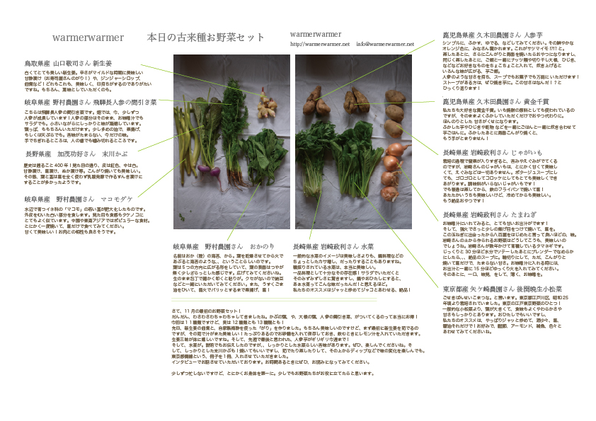 11月6日　本日のお野菜セットの内容です。