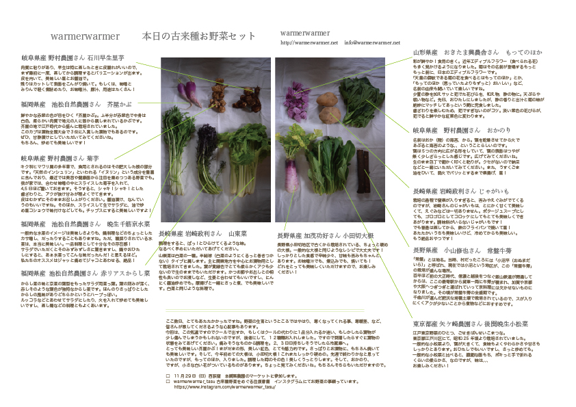 11月20日　本日のお野菜セットの内容です。