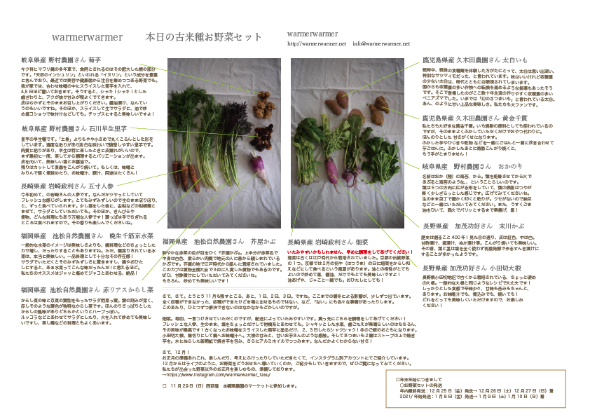 11月27日　本日のお野菜セットの内容です。