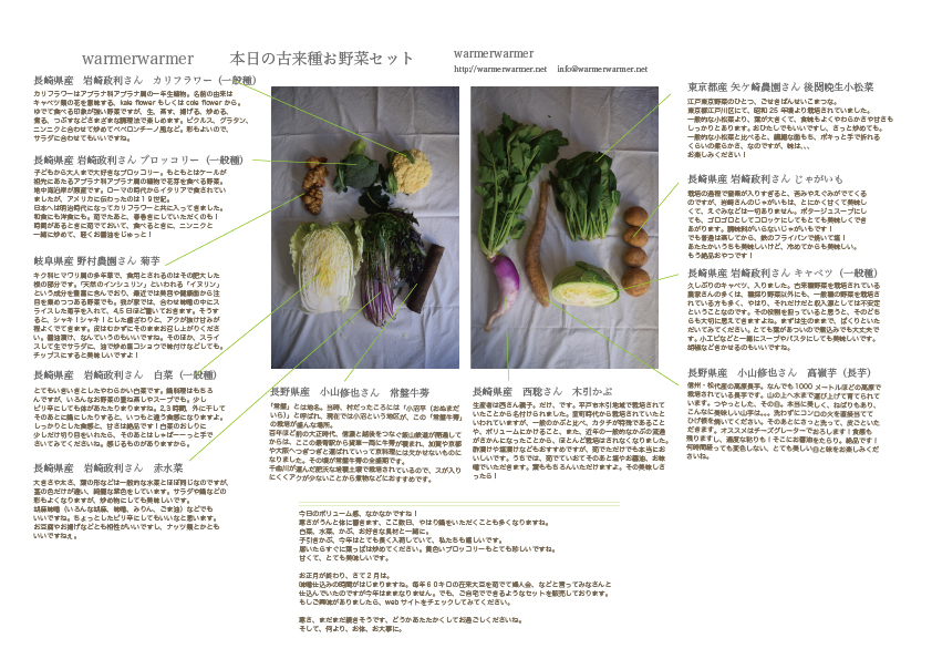 1月22日　本日のお野菜セットの内容です。