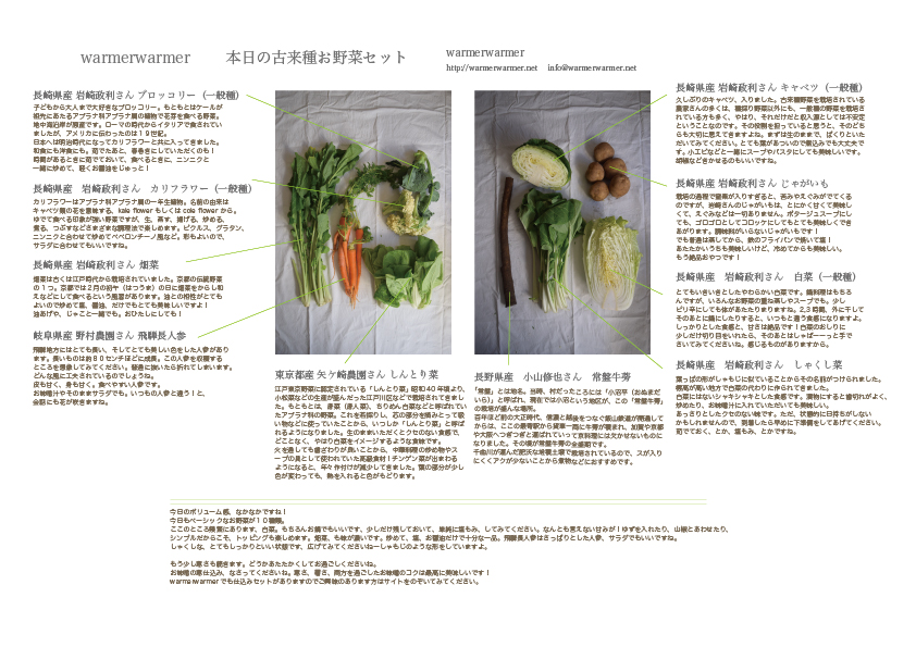 1月29日　本日のお野菜セットの内容です。