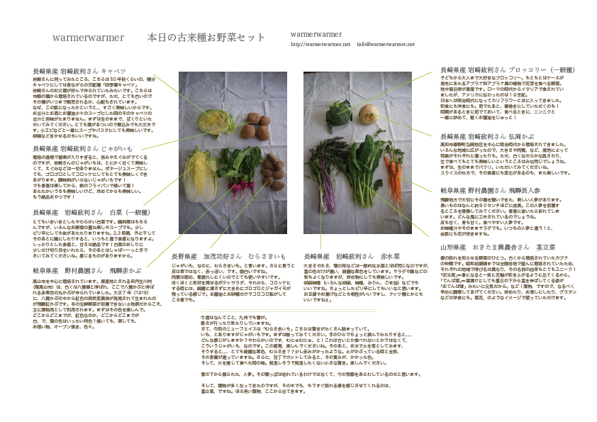 2月19日　本日のお野菜セットの内容です。