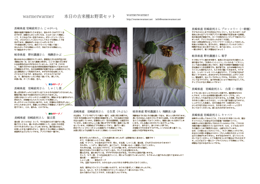 2月26日　本日のお野菜セットの内容です。