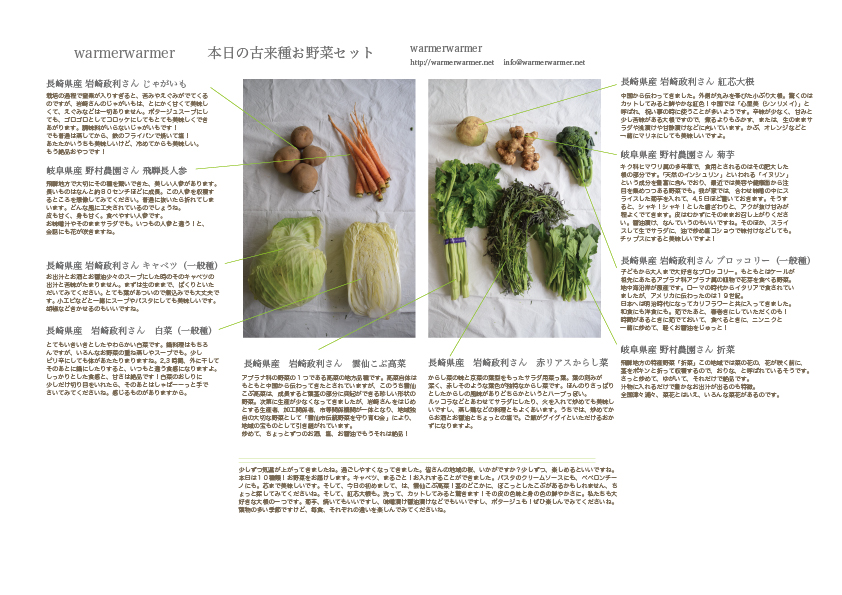 3月19日　本日のお野菜セットの内容です。