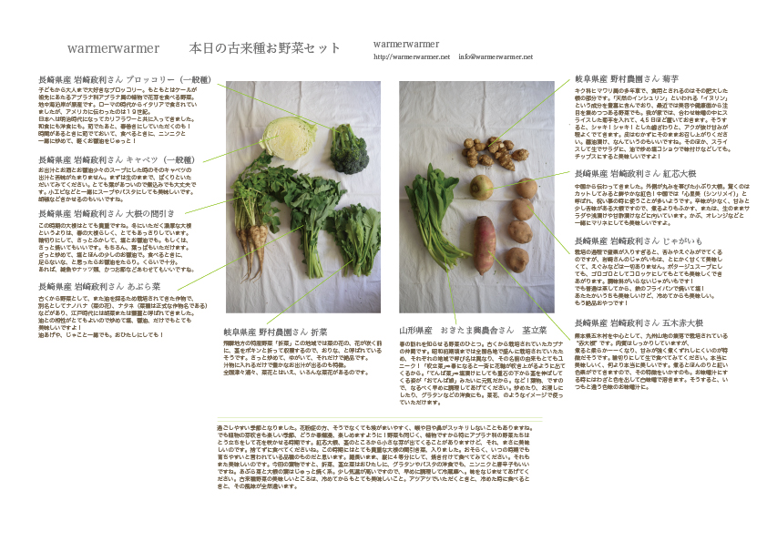 3月26日　本日のお野菜セットの内容です。