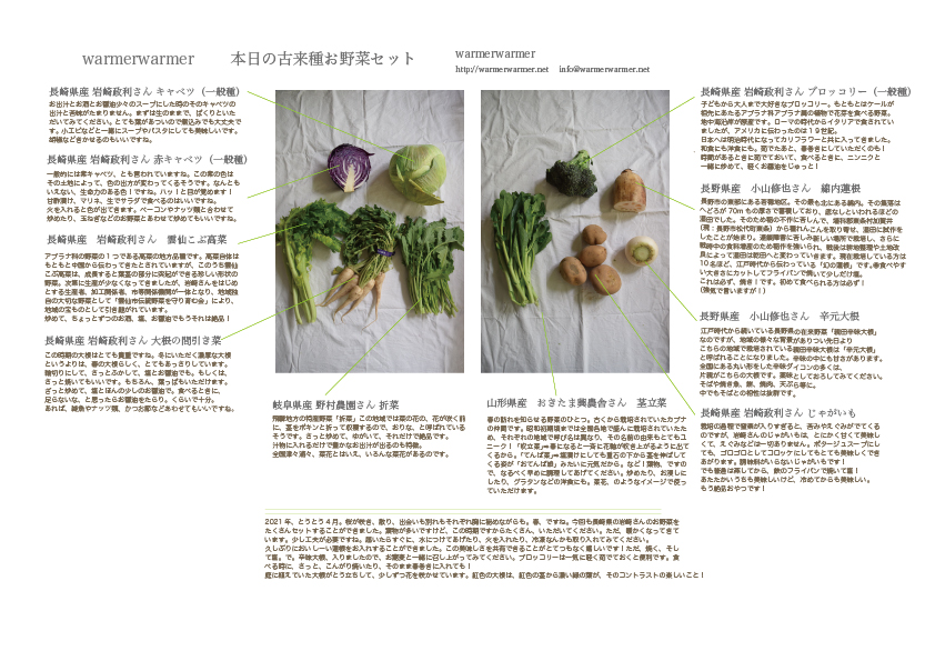 4月2日　本日のお野菜セットの内容です。