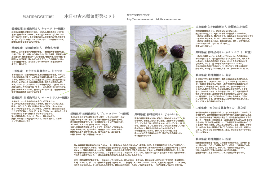 4月９日　本日のお野菜セットの内容です。