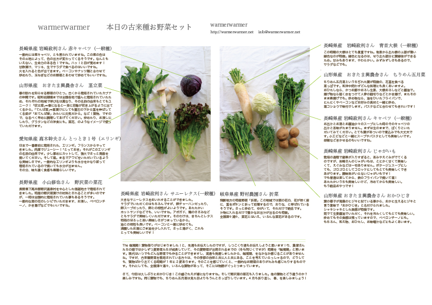 4月16日　本日のお野菜セットの内容です