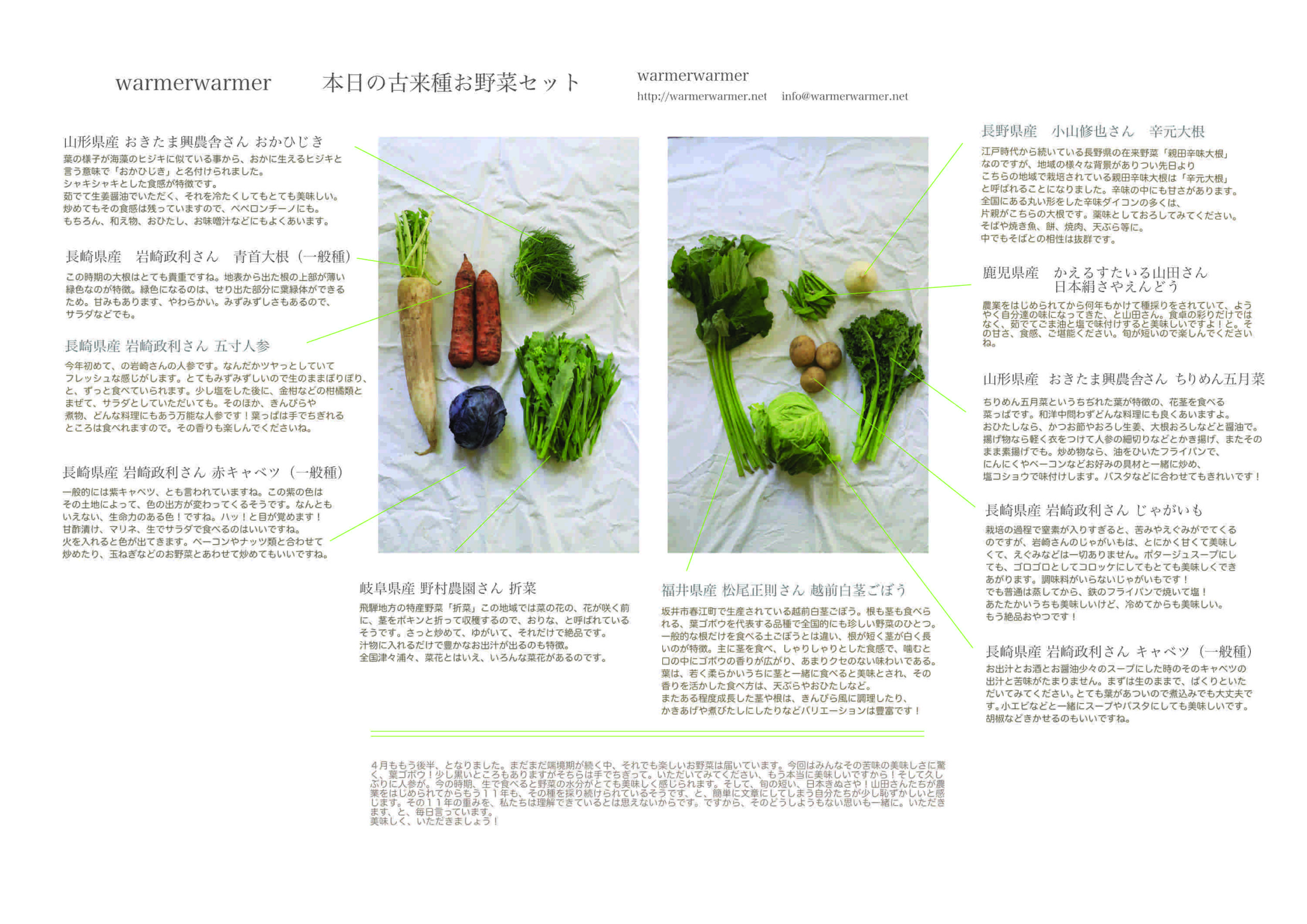 4月23日　本日のお野菜セットの内容です