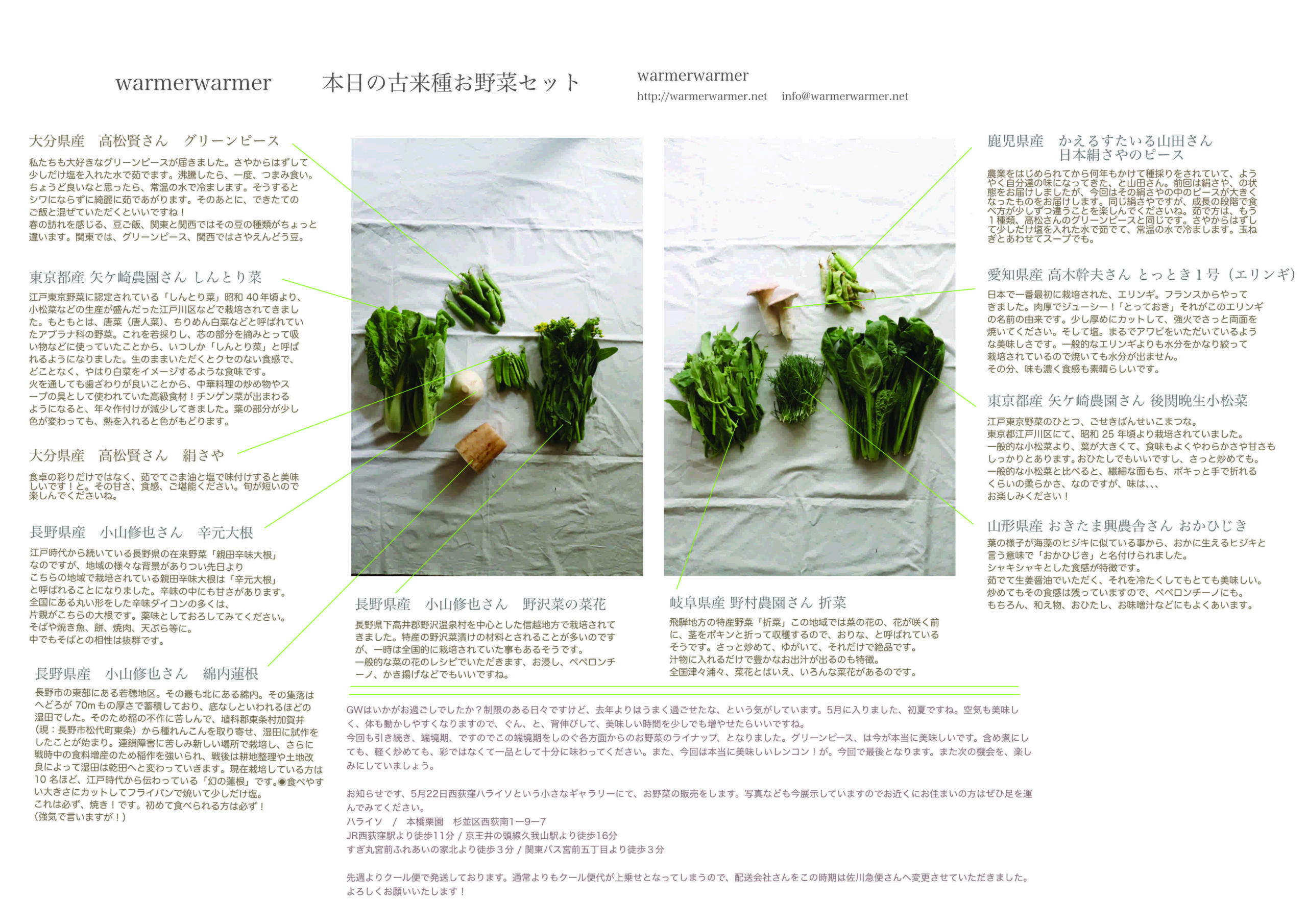 5月7日　本日のお野菜セットの内容です。