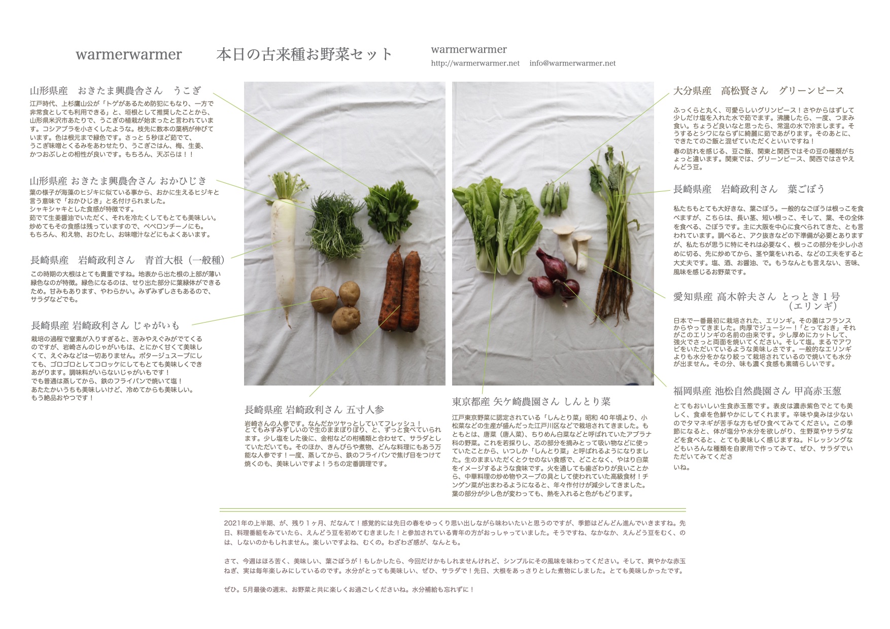 6月4日　本日のお野菜セットの内容です。