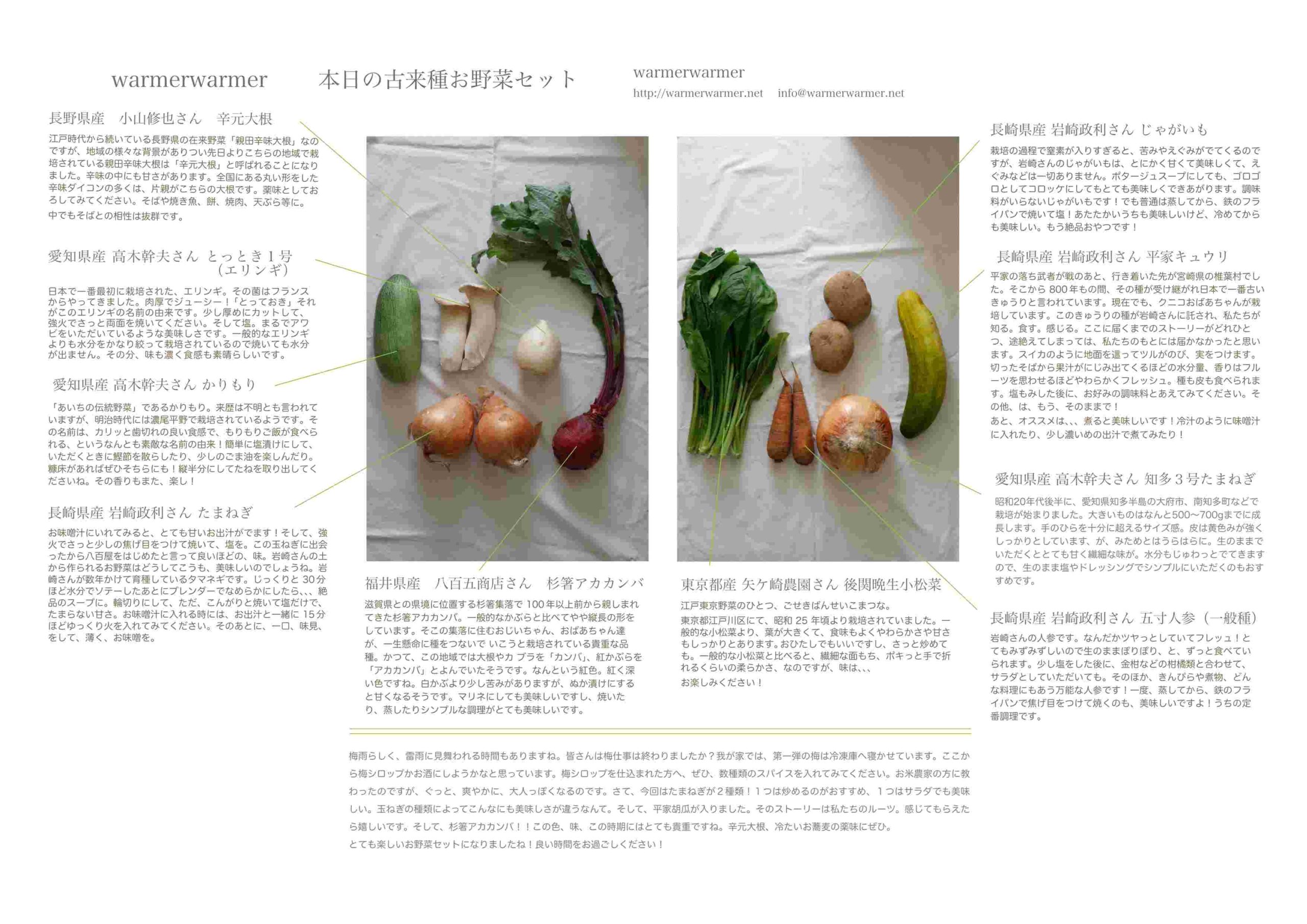 6月18日　本日のお野菜セットの内容です。