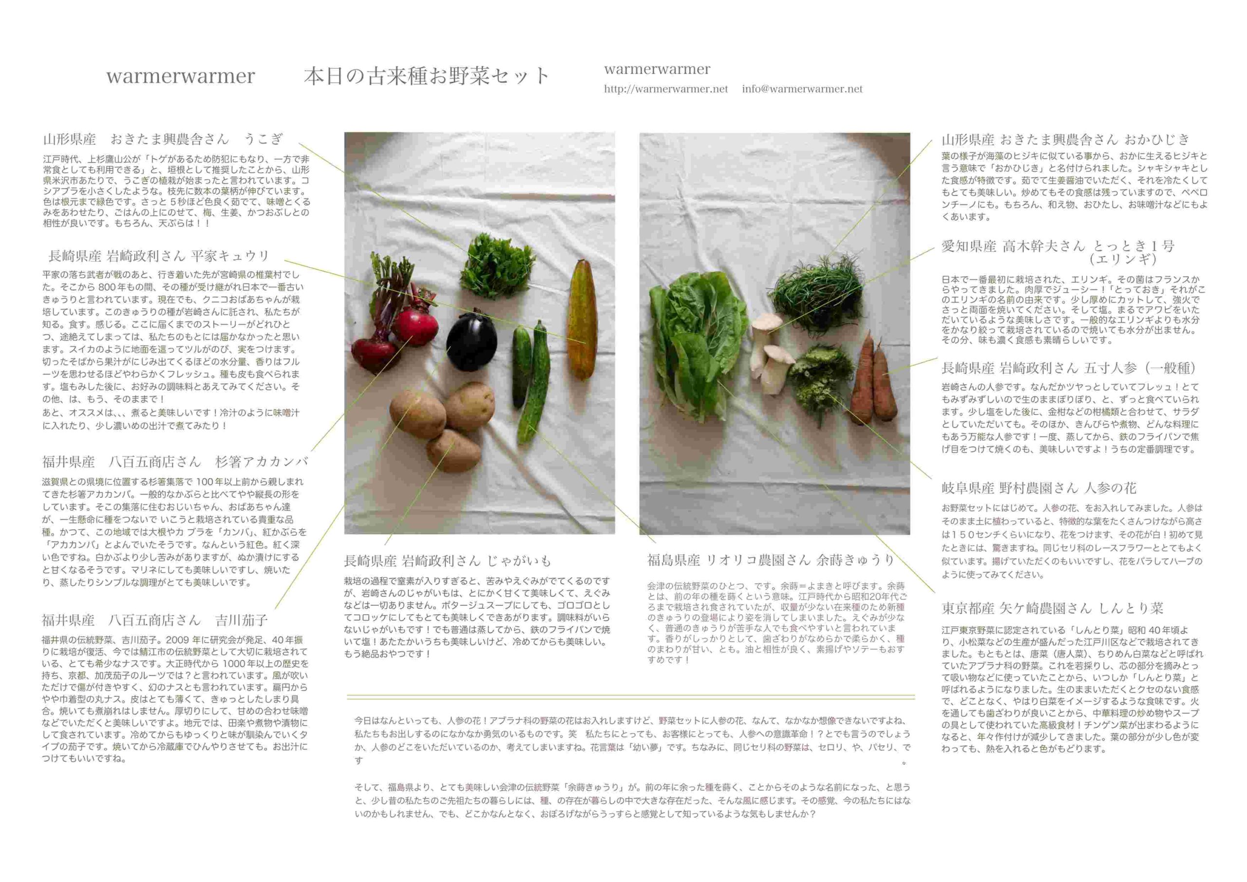 6月25日　本日のお野菜セットの内容です。