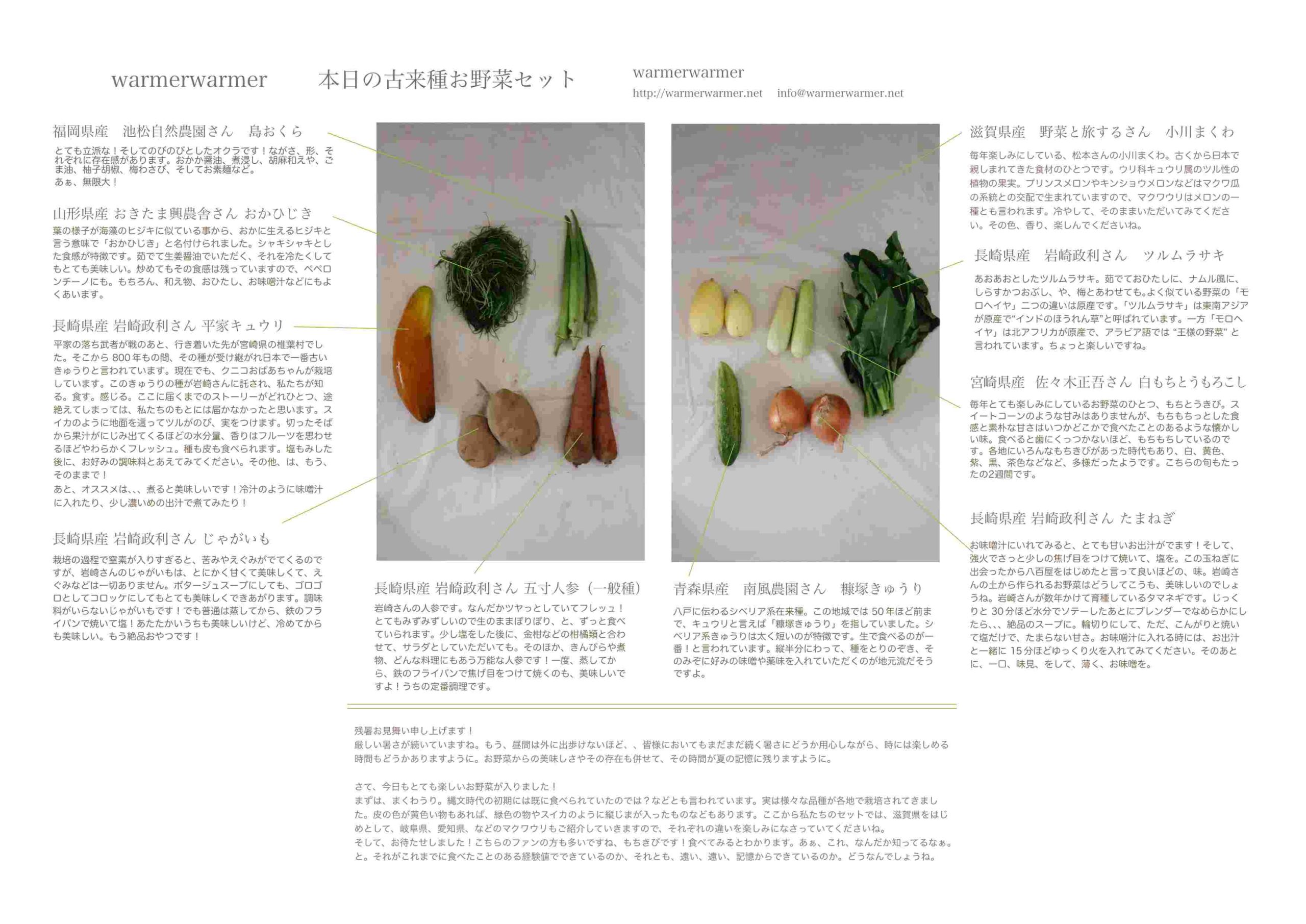 ８月６日　本日のお野菜セットの内容です。