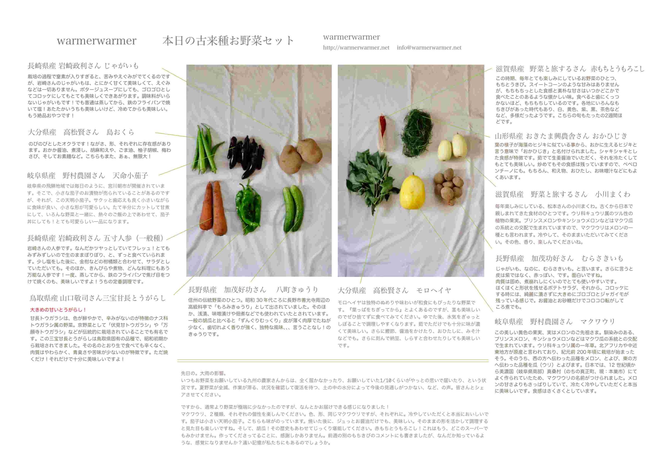 ８月20日　本日のお野菜セットの内容です。