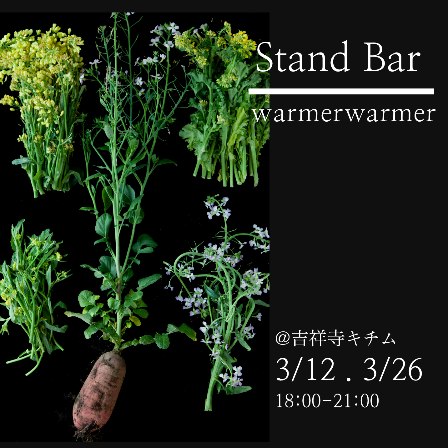 3/12, 3/26 Stand Bar