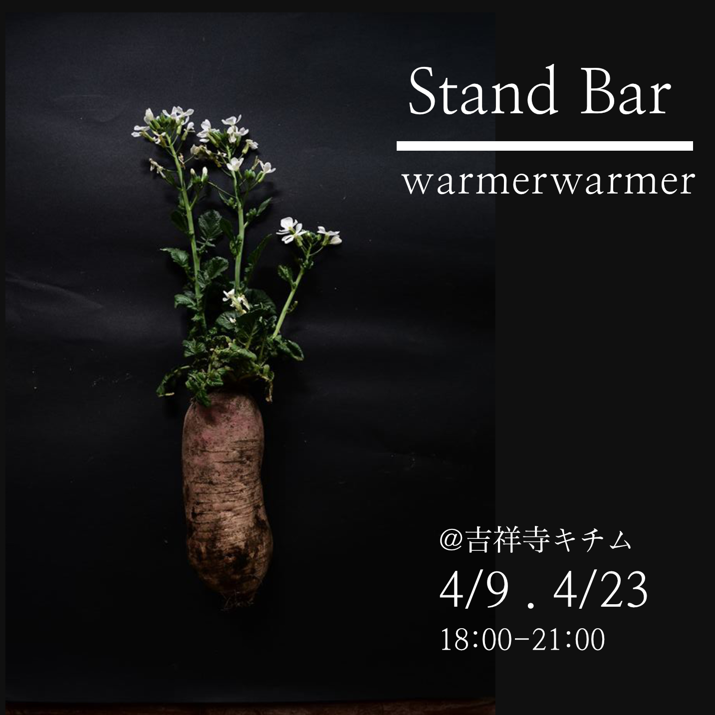 4/9.23 Stand Bar