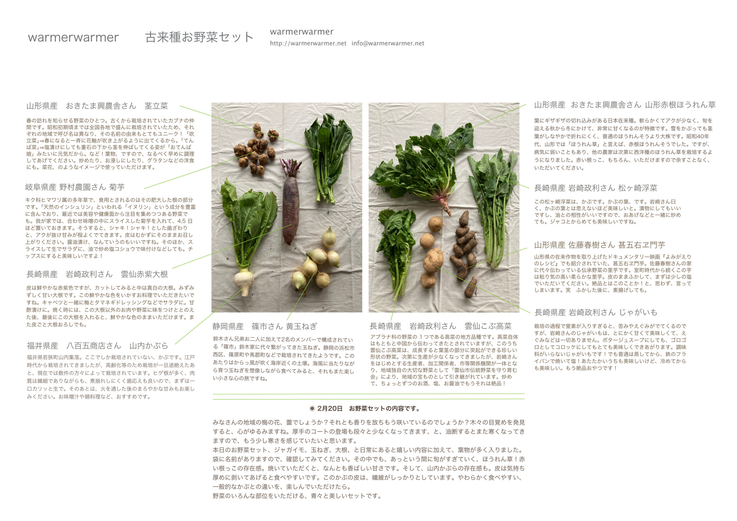 2月20日　お野菜セットの内容です。